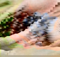 Eat Pick Grow Trail - Wanneroo and Chittering - New Castle Holiday