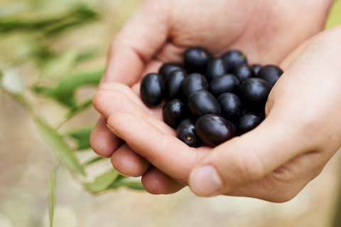 Eat, Pick, Grow Trail - Wanneroo And Chittering - New Castle Holiday 0