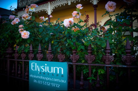 Elysium Day Spa - New Castle Holiday 1