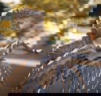 Evandale - New Castle Holiday