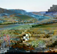 Farm Flavour Trail Chittering Valley - New Castle Holiday