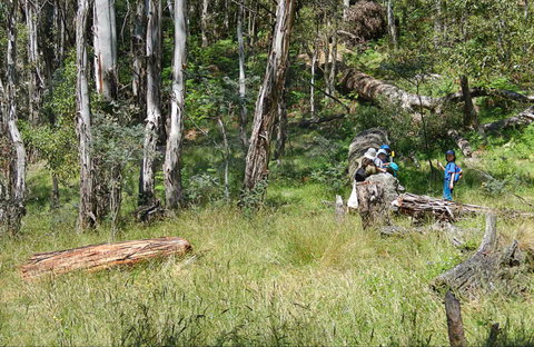 Federal Falls Walk - New Castle Holiday 0