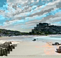 Fishermans Bay foreshore - New Castle Holiday