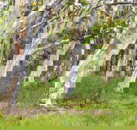 Freshwater track - New Castle Holiday