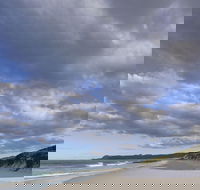 Friendly Beaches - New Castle Holiday