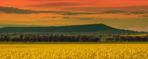 Galore Hill Scenic Reserve - New Castle Holiday 0