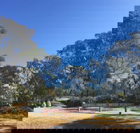 Grenfell Endemic Garden - New Castle Holiday