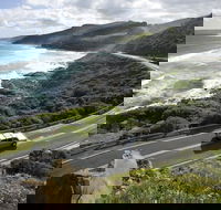 Great Ocean Road - New Castle Holiday