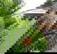 Gully Gardens - New Castle Holiday