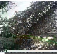 Henty Government Dam Nature Reserve - New Castle Holiday