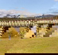Historic Tabulam DeBurgh Timber Bridge - New Castle Holiday