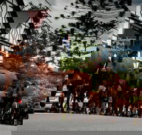 Jamberoo - New Castle Holiday