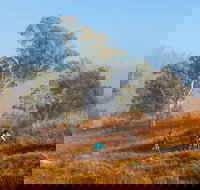 Kambah Pool to Pine Island Walking Trail - New Castle Holiday