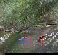 Kerewong State Forest - New Castle Holiday