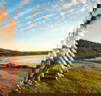 Killalea Reserve - New Castle Holiday