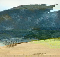 Langi Ghiran State Park - New Castle Holiday