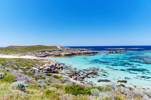 Little Salmon Bay - New Castle Holiday 0