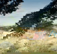 Lysterfield Park - New Castle Holiday