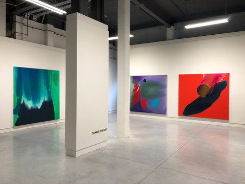 May Space - New Castle Holiday 0