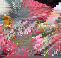 Mokoan Rest Stop Northbound - New Castle Holiday