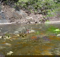 Mount Boss State Forest - New Castle Holiday