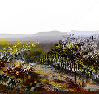 Mount View - New Castle Holiday