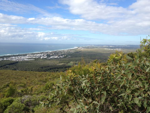 Mount Coolum National Park - New Castle Holiday 0