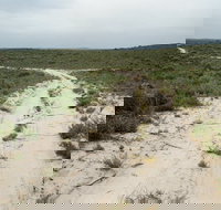 Ngarkat Conservation Park - New Castle Holiday