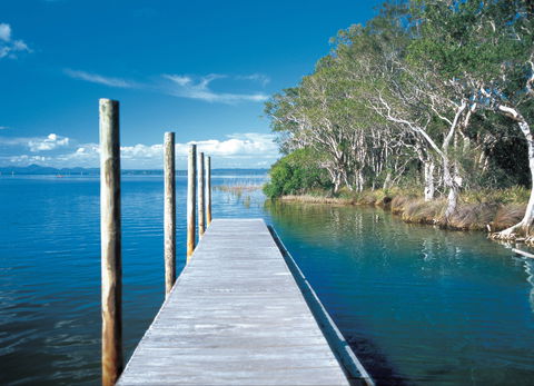 Noosa Everglades - New Castle Holiday 1