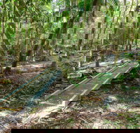 Old Bottlebutt - New Castle Holiday