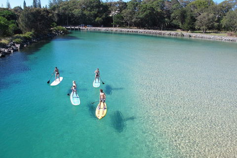 Paddleboard At Back Creek South West Rocks - New Castle Holiday 0