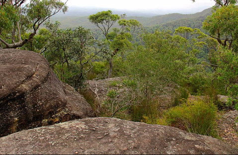Pigeon House Mountain Didthul Walking Track - New Castle Holiday 0