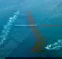 Port Noarlunga Reef Sanctuary Zone - Encounter Marine Park - New Castle Holiday