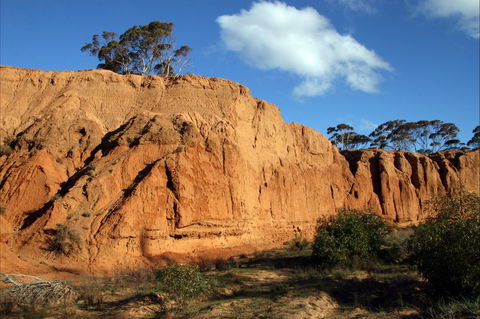 Red Banks Conservation Park - New Castle Holiday 0