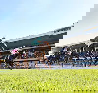Rosehill Gardens Racecourse - New Castle Holiday