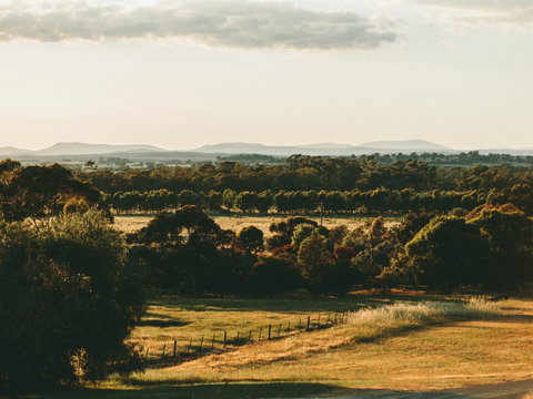 Rutherglen Wine Bottle - New Castle Holiday 2