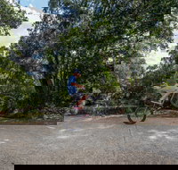 Samford Valley Rail Trail - New Castle Holiday