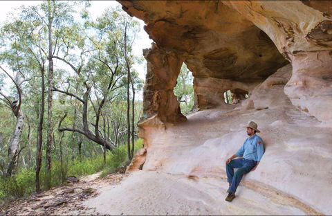 Sandstone Caves Walking Track - New Castle Holiday 0
