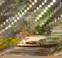 Scotsdale Tourist Drive - New Castle Holiday