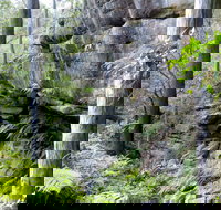 She-Oak Crossing Walk - New Castle Holiday