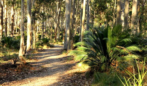 Square Head Track 2 - New Castle Holiday 0