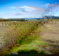 Tarago Truffles - New Castle Holiday