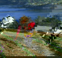 Tas-Saff - New Castle Holiday