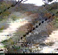 The Falls Water Falls - New Castle Holiday