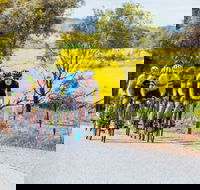 The Heron's Highway - Avon River Cycle Trail - New Castle Holiday