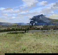 Thornton - New Castle Holiday