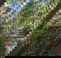 Thylogale Track - New Castle Holiday