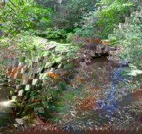 Waitui Falls - New Castle Holiday