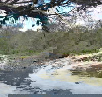 Walyunga National Park - New Castle Holiday