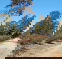 Werakata National Park - New Castle Holiday